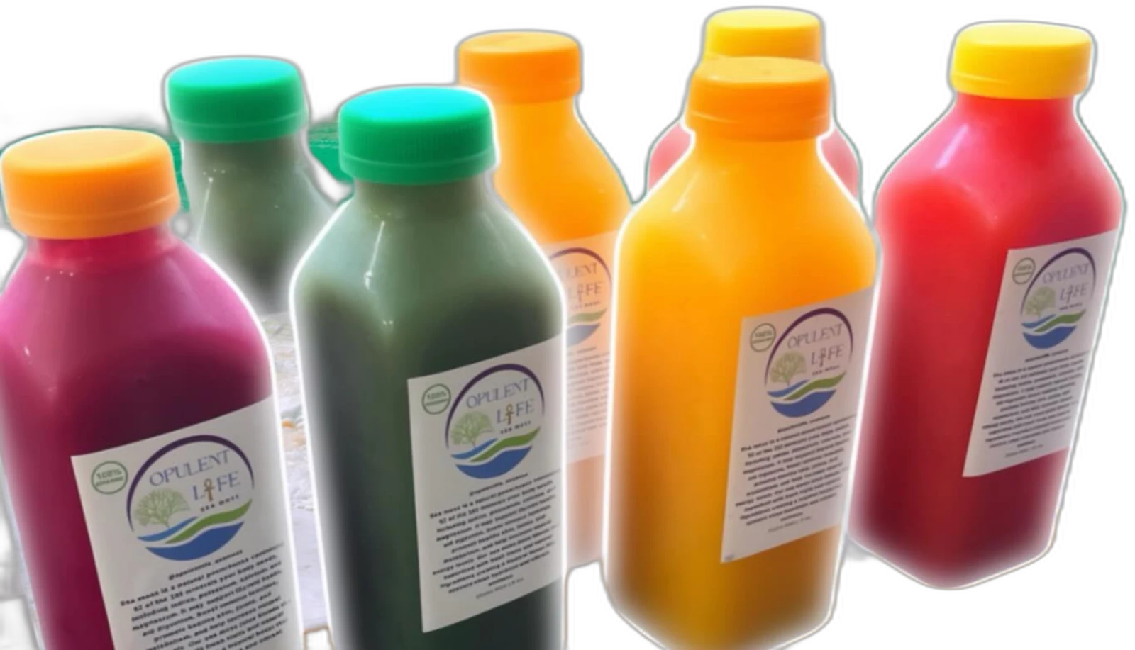 The full line-up of Opulent Life cold-pressed sea moss beverages